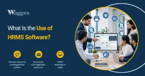 What Is the Use of HRMS Software
