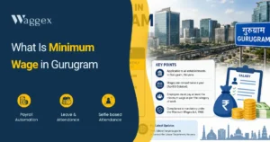 minimum wage gurugram