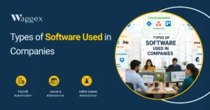 type of software used in indian companies